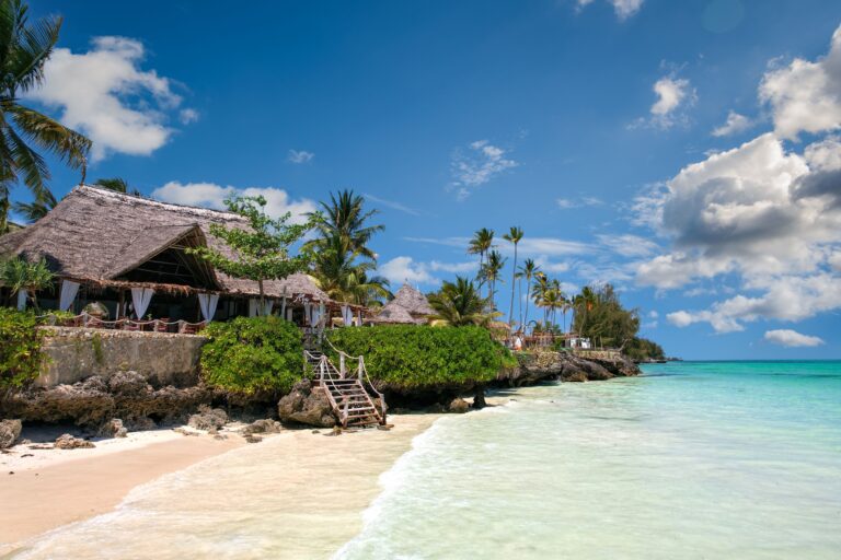 Things to do in Zanzibar