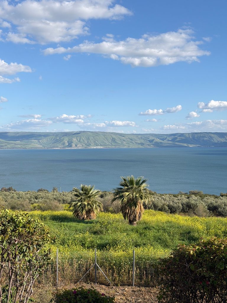 Top 10 Best Things to Do in Israel